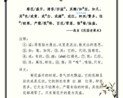 芳龄是什么意思?一篇文章带你了解这个词的用法