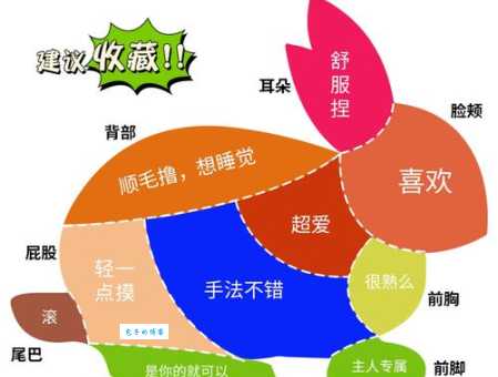 瑟缩的意思是什么意思？结合生活场景教你正确运用。