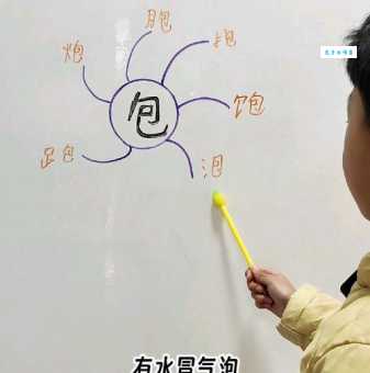 包的偏旁怎么读?详细解析包字旁的构造与含义!