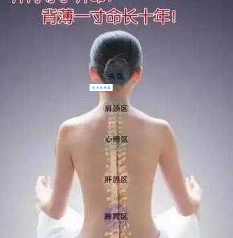 虎背熊腰的意思有哪些?教你从不同角度解读这个词 虎背熊腰的意思有哪些?教你从不同角度解读这个词