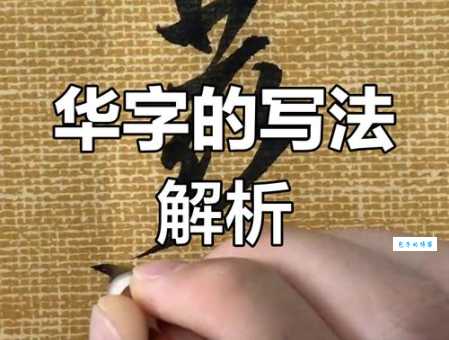 华的笔顺怎么写？教你正确书写顺序和拼音读音