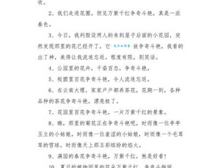 风华正茂造句怎么写？分享30个简单又好用的例句！