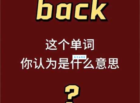alternative是什么意思怎么读?通过例句轻松学会它的用法