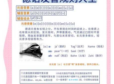 brochure是什么意思怎么读？快速掌握词义和相关短语