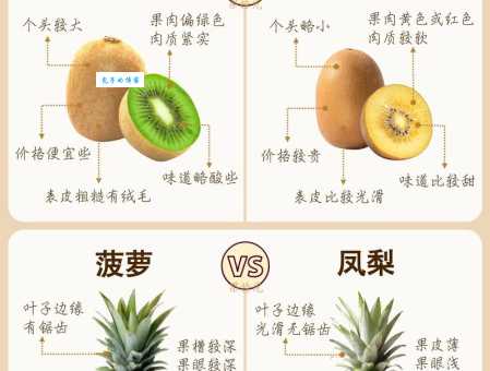 苹果和菠萝有什么区别?这几点不同让你一眼就能分辨! 苹果和菠萝有什么区别?这几点不同让你一眼就能分辨!