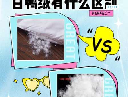 灰鸭绒和白鸭绒哪个好?内行人告诉你其中的秘密