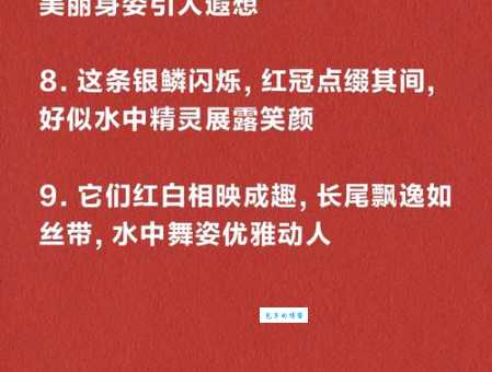 鹿鹿鱼鱼是用来形容什么意思?一篇文章教你学会正确使用!