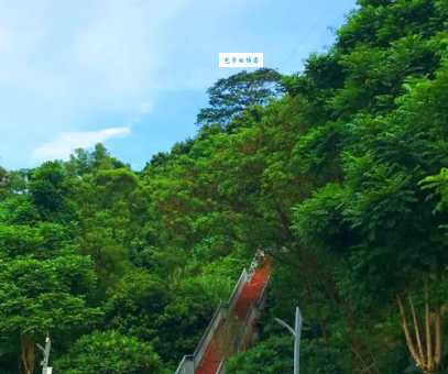 深圳有哪些好玩的地方景点？周末休闲度假的好去处