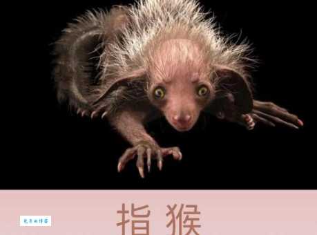 诪张为幻是指什么动物？民间流传的几种说法你听过吗