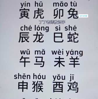 马虎草率不认真是什么生肖？这几个生肖做事最粗心！
