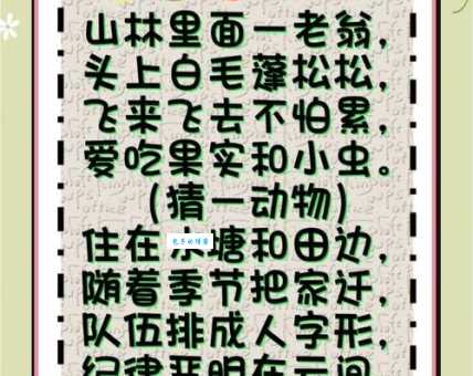 珠围翠绕打一动物指什么？带你揭晓谜题的正确答案！