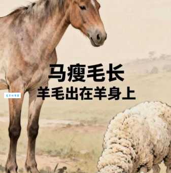 马瘦毛长开过什么生肖？看懂这些特征轻松猜中生肖！