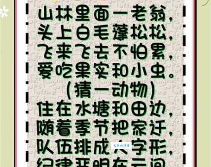 士别三日打一精准生肖？带你揭秘谜底背后的生肖！