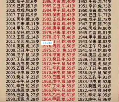 一夜夫妻百日恩代表什么生肖？看老辈人是怎么解释的！