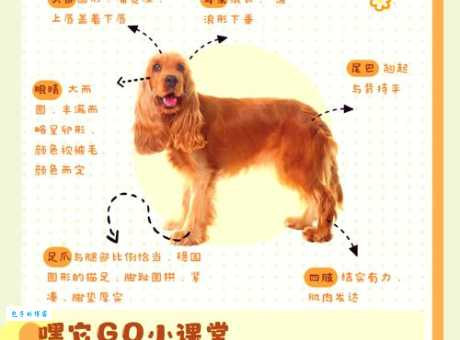 如何评价含瑕积垢的动物？从不同角度分析其存在价值