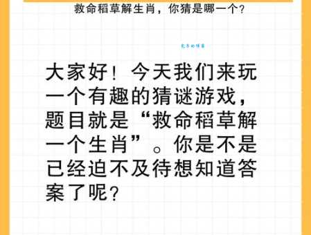 士别三日打一正确生肖怎么解？老玩家教你快速得出答案！