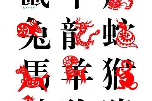 猜生肖：慈悲为怀打一最佳生肖，这生肖性格温顺口碑极佳！