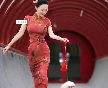 燕燕雏时紫米香什么意思？带你了解这句唯美歌词的出处