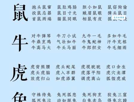 细大不逾是什么生肖动物？通过成语意思找对应生肖