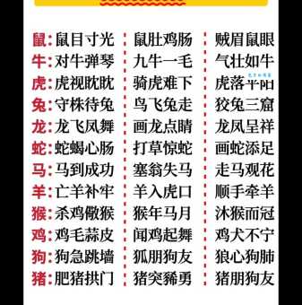 细大不逾是什么生肖动物？通过成语意思找对应生肖