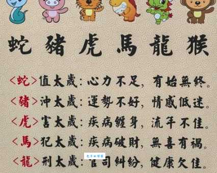 八字一尾有平码指什么生肖？老玩家分享相关生肖的心得！