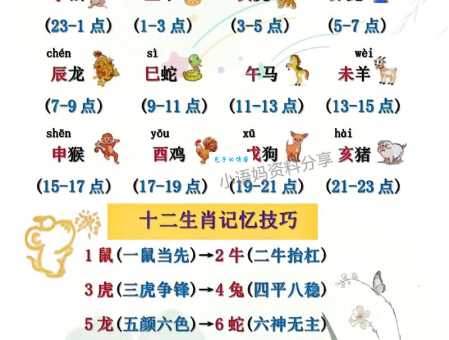 怜孤惜寡是指哪个生肖?为你详细讲解相关的生肖知识