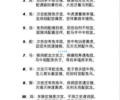 怜孤惜寡是指哪个生肖?为你详细讲解相关的生肖知识
