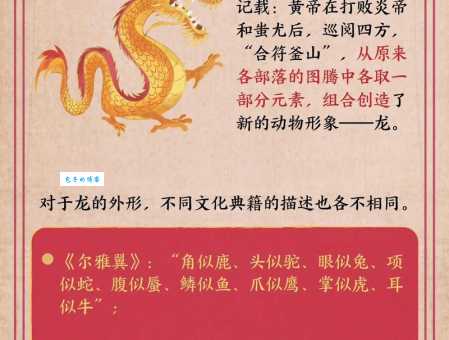 真命天子打一正确动物是龙吗？带你了解生肖背后的典故
