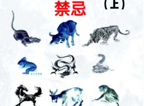 公认高风亮节的三大生肖，一生正气深受身边人尊重！