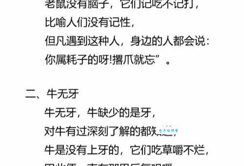 孤军薄旅打一准确生肖是什么？资深玩家为你揭秘！