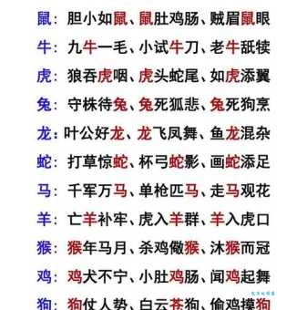 面目一新打一正确生肖是哪个？揭秘背后隐藏的生肖！