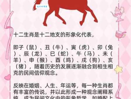 旁敲侧击是什么生肖？看完这个生肖解析你就明白了