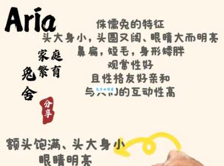 兔死狗烹最佳答案生肖怎么选?这几个特征帮你快速确认!