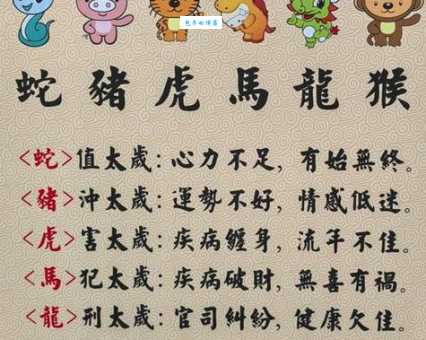 终南捷径代表什么生肖？带你深入分析这个有趣的谜语