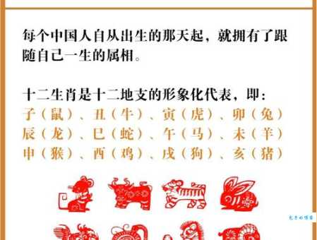 百发百中是什么生肖？民间流传的生肖猜测竟然是这个