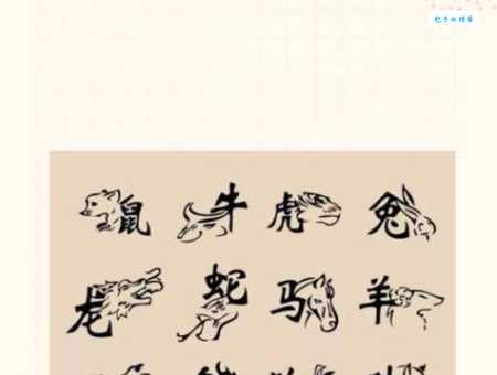 雍荣闲雅打一动物的谜底是什么?详解这个生肖的特点!