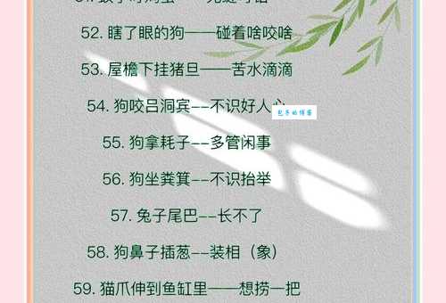 民间谜语指桑骂槐打一正确动物,老辈人的解释真有道理!