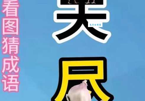 荡然一空打一生肖最准答案，快来看看和你猜的一样吗！