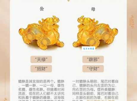 雄才武略生江山是什么生肖？揭秘背后隐藏的动物属性！