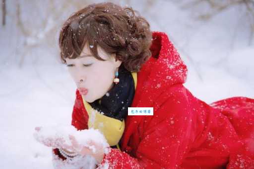 半壁江山最正确一肖怎么看？新手必看的简单入门教学！