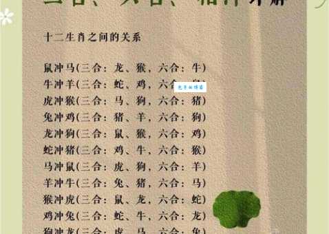 招后相迎做三陪打一准确生肖?看老玩家如何分析谜底!