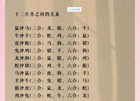 万里挑一的生肖有哪些?快看你的属相有没有上榜!