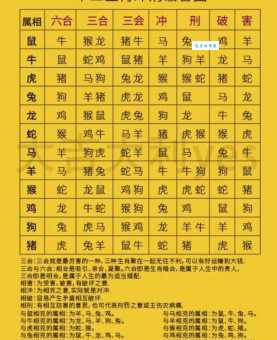 百发百中打一最佳生肖是什么?揭晓答案背后的玄机!