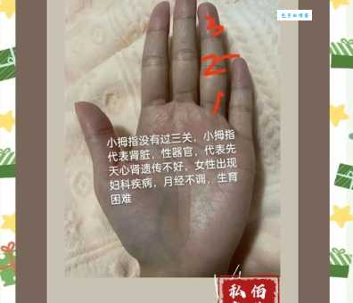 屈指可数最正确一肖怎么看？学会这几招分析其实很简单！