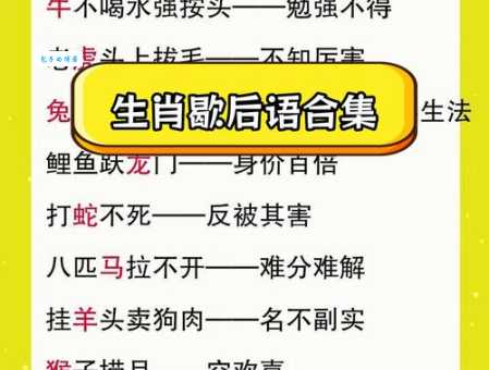 演古劝今打一最佳动物?为您详细解析背后代表的生肖