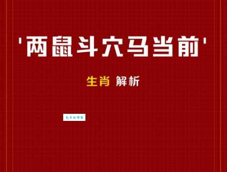 志士仁人打一准确生肖怎么看？深入解析生肖的象征意义！