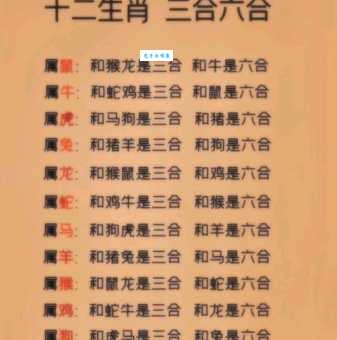 三班六房什么生肖最为匹配？看完这篇文章你就全明白了
