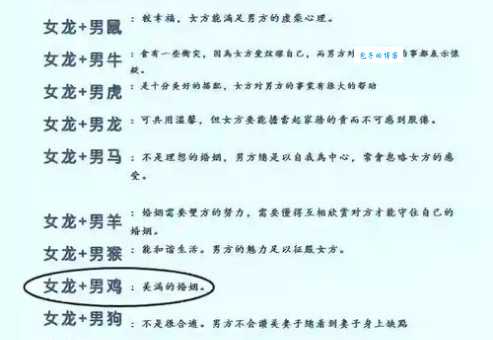 想知道与龙共舞是什么生肖吗？这篇攻略告诉你答案