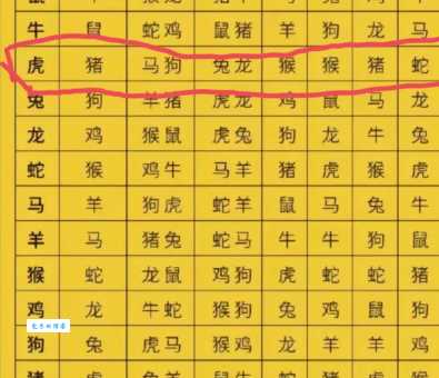 万里挑一打一正确生肖预测，精准解析背后隐藏的玄机