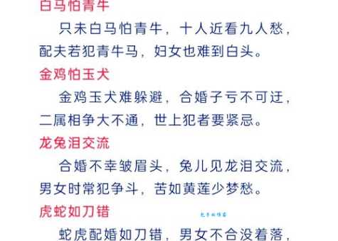 十二生肖谁喜欢纸上谈兵空理想？看完这篇文章你就懂了！